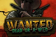 Wanted Dead or a Wild